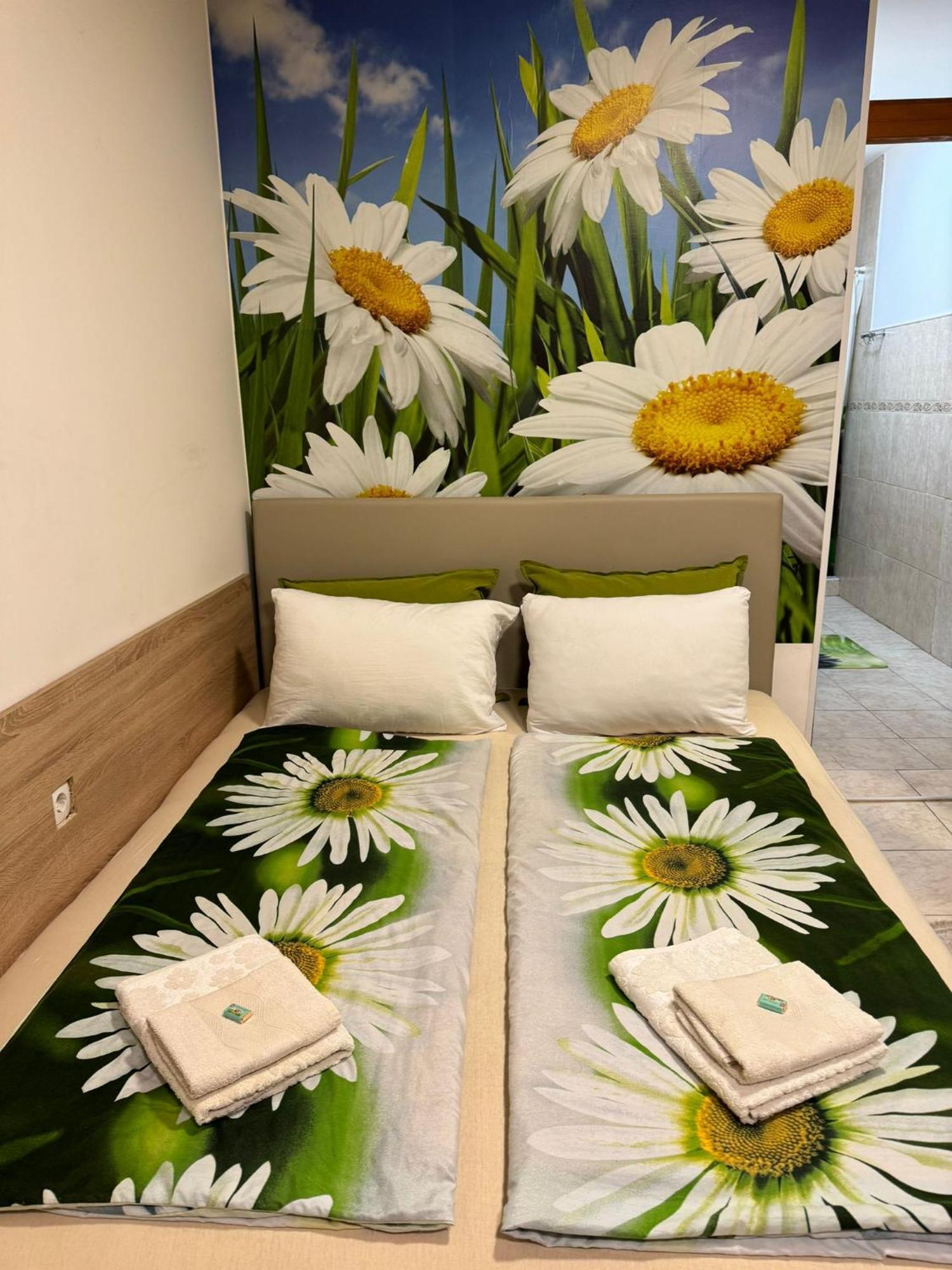 Nela Apartmani Nis Exterior photo