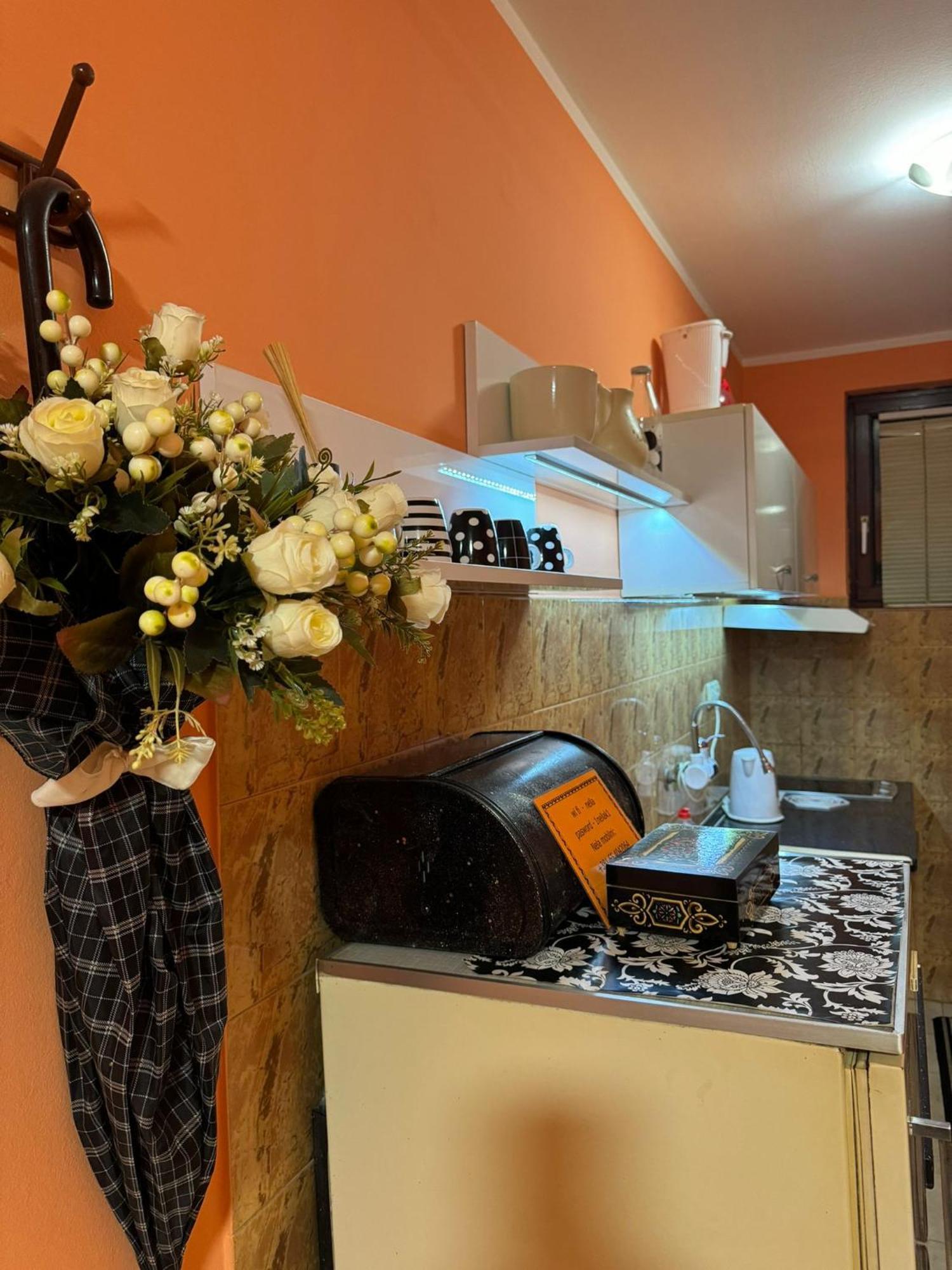 Nela Apartmani Nis Exterior photo